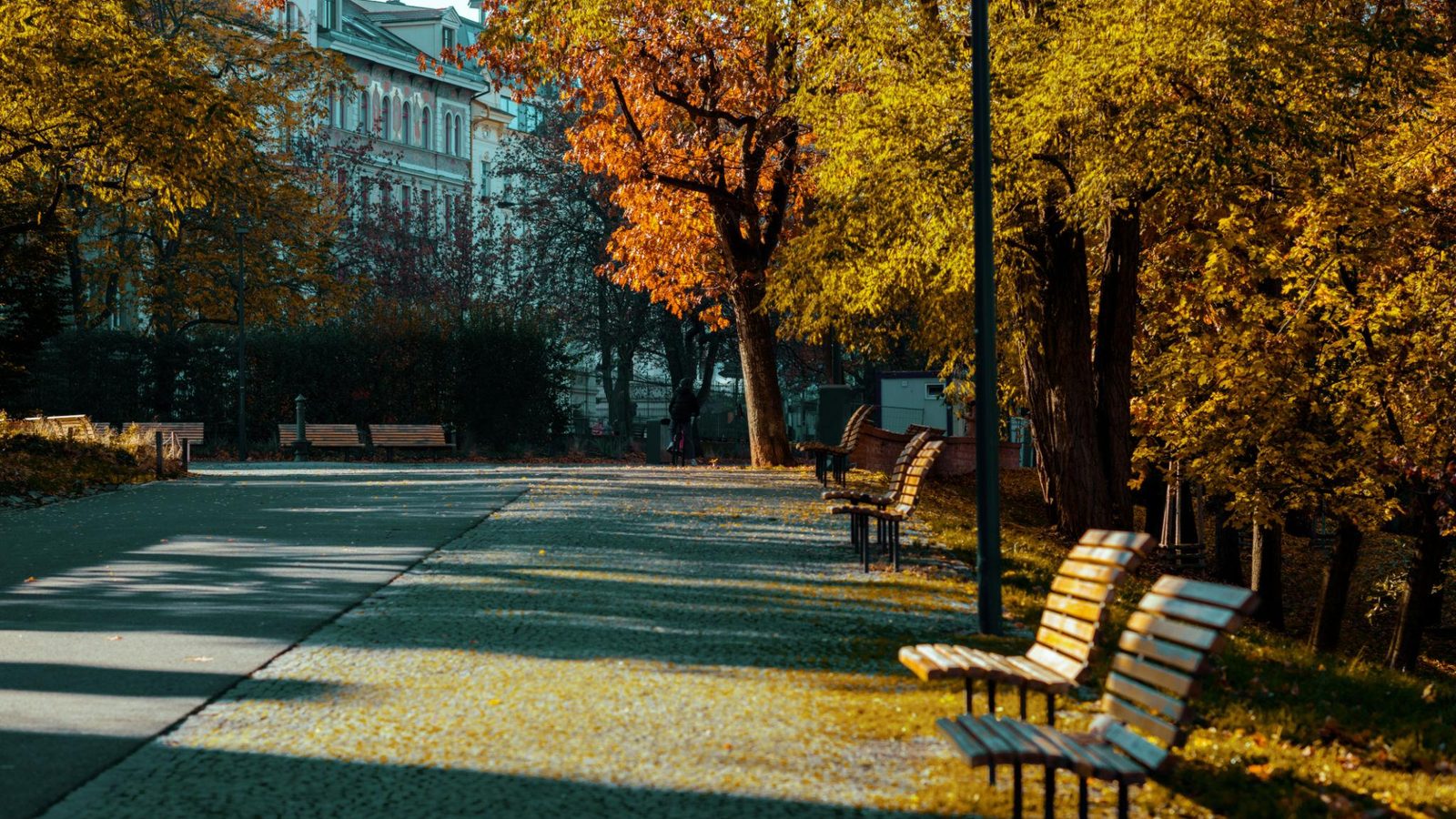 Tree-lined park in Vinohrady, Prague in autumn